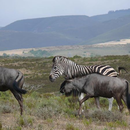 Nyaru Game Lodge Brandwag Eksteriør billede